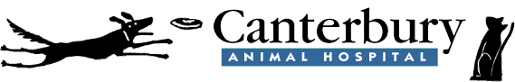 Welcome to Canteberry Animal Hosptal